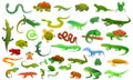 Reptiles amphibians icons set, cartoon style