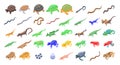 Reptiles and amphibians icons set, isometric style Royalty Free Stock Photo