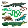 Reptiles and amphibians. Lizard, crocodile, turtle, snake, iguana, salamander, frog, chameleon. Terrarium pet reptile Royalty Free Stock Photo