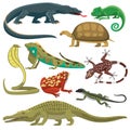 Reptiles animals vector set. Royalty Free Stock Photo