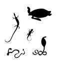 Reptiles silhouettes. Cobra, lizard, Agama, hawksbill sea turtle