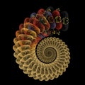 Reptilian spiral