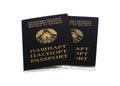 Republic of Belarus a pair of passports Royalty Free Stock Photo