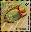 REPUBLIC OF BURUNDI - CIRCA 1974: postage stamp, printed in Burundi, shows a fish Queen Angelfish Holocanthus ciliaris