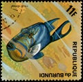 REPUBLIC OF BURUNDI - CIRCA 1974: postage stamp, printed in Burundi, shows a fish Queen Triggerfish Balistes vetula Royalty Free Stock Photo