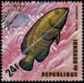 REPUBLIC OF BURUNDI - CIRCA 1974: postage stamp, printed in Burundi, shows a fish Peacock Grouper Cephalopholis argus and surgeo