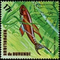 REPUBLIC OF BURUNDI - CIRCA 1974: postage stamp, printed in Burundi, shows a fish Twostripe Lyretail Aphyosemion bivittatum