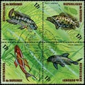 REPUBLIC OF BURUNDI - CIRCA 1974: stamps, printed in Burundi, shows a fishes: Ctenopoma acutirostre, Synodontis angelicus, Tilapia