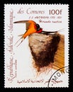 Republic of Comoros postage stamp shows Barn Swallow Hirundo rustica, Audubon Bicentenary serie, circa 1985