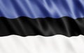 Republic of Estonia Flag