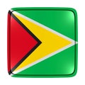 Republic of Guyana flag icon Royalty Free Stock Photo