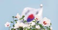 Republic of Korea Taegeukgi and Mugunghwa flowers, Samiljeol and Liberation Day background