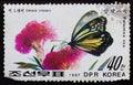 Postage stamp North Korea Royalty Free Stock Photo