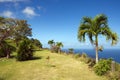 Republic of Trinidad and Tobago - Tobago island - Castara bay and flowers - Caribbean sea