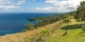 Republic of Trinidad and Tobago - Tobago island - Castara bay and flowers - Caribbean sea