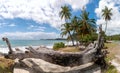 Republic of Trinidad and Tobago - Tobago island - Roxborough beach - Tropical beach of Atlantic ocean