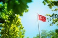 Republic of Turkey flag, Turkish flag waving in the wind between trees Royalty Free Stock Photo