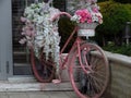 Repurposed bike used as garden decoration with flowers. Flower container. Flowers. Decoration. Royalty Free Stock Photo