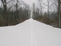 Repurposed railroad track creates a path for cross-country skiing or hiking in all seasons Royalty Free Stock Photo