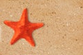 Res starfish on the yellow sand background Royalty Free Stock Photo