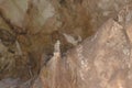 Stalagmites and stalactites in Resava cave, Serbia