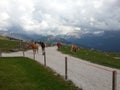 Resciesa mountains, Dolomiti, Italy.