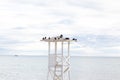 Rescue box with doves against the cloudy sky.