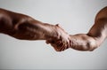 Rescue, helping gesture or hands. Strong hold. Two hands, helping hand of a friend. Handshake, arms, friendship Royalty Free Stock Photo