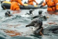 Rescue operation swiftly launched to mitigate impact on marine wildlife Royalty Free Stock Photo