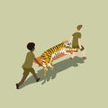 Animal rescue team carrying injured tiger on stretcher, taking it to safety.