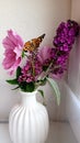 Rescued butterfly sipping on nectar from flowers in a vase