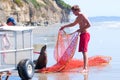 Rescued Harbor Seal