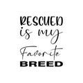 rescued is my favorite breed black letter quote