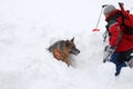 Rescuer from the Mountain Rescue Service at Bulgarian Red Cross Royalty Free Stock Photo