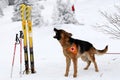 Rescuer from the Mountain Rescue Service at Bulgarian Red Cross