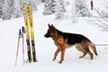 Rescuer from the Mountain Rescue Service at Bulgarian Red Cross Royalty Free Stock Photo