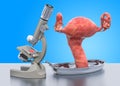 Research and diagnostics of uterus disease concept. Laboratory microscope with female uterus, 3D rendering