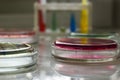 Research laboratory glasswear Royalty Free Stock Photo