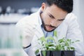 Research, man or scientist with leaf sample for analysis, floral sustainability or plants growth innovation. Science