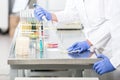 Research operator preparing samples in petri dishes