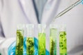 Research scientist team working research and Biotech science Photobioreactor in laboratory of algae fuel, biofuel sustainable