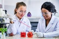 Research teams Cacausian and African female, Two  scientist in protective glasses looking and testing tube chemical in laborator Royalty Free Stock Photo