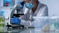 Researcher developing cancer medication in laboratory, animal testing experiment Royalty Free Stock Photo