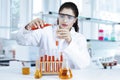 Researcher doing research in the lab Royalty Free Stock Photo