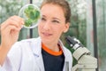 Young female researcher examining leaves under microscope at lab