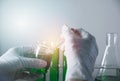 Researcher with glass laboratory chemical test tubes with liquid Royalty Free Stock Photo