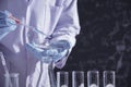 Researcher with glass laboratory chemical test tubes with liquid for analytical , medical, pharmaceutical and scientific research Royalty Free Stock Photo