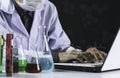 Researcher with glass laboratory chemical test tubes with liquid for analytical , medical, pharmaceutical and scientific research Royalty Free Stock Photo