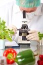 Researcher with GMO vegetable Royalty Free Stock Photo