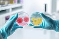 Researcher hand in glove holding Petri dish with colonies of different bacteria and molds on white lab background.